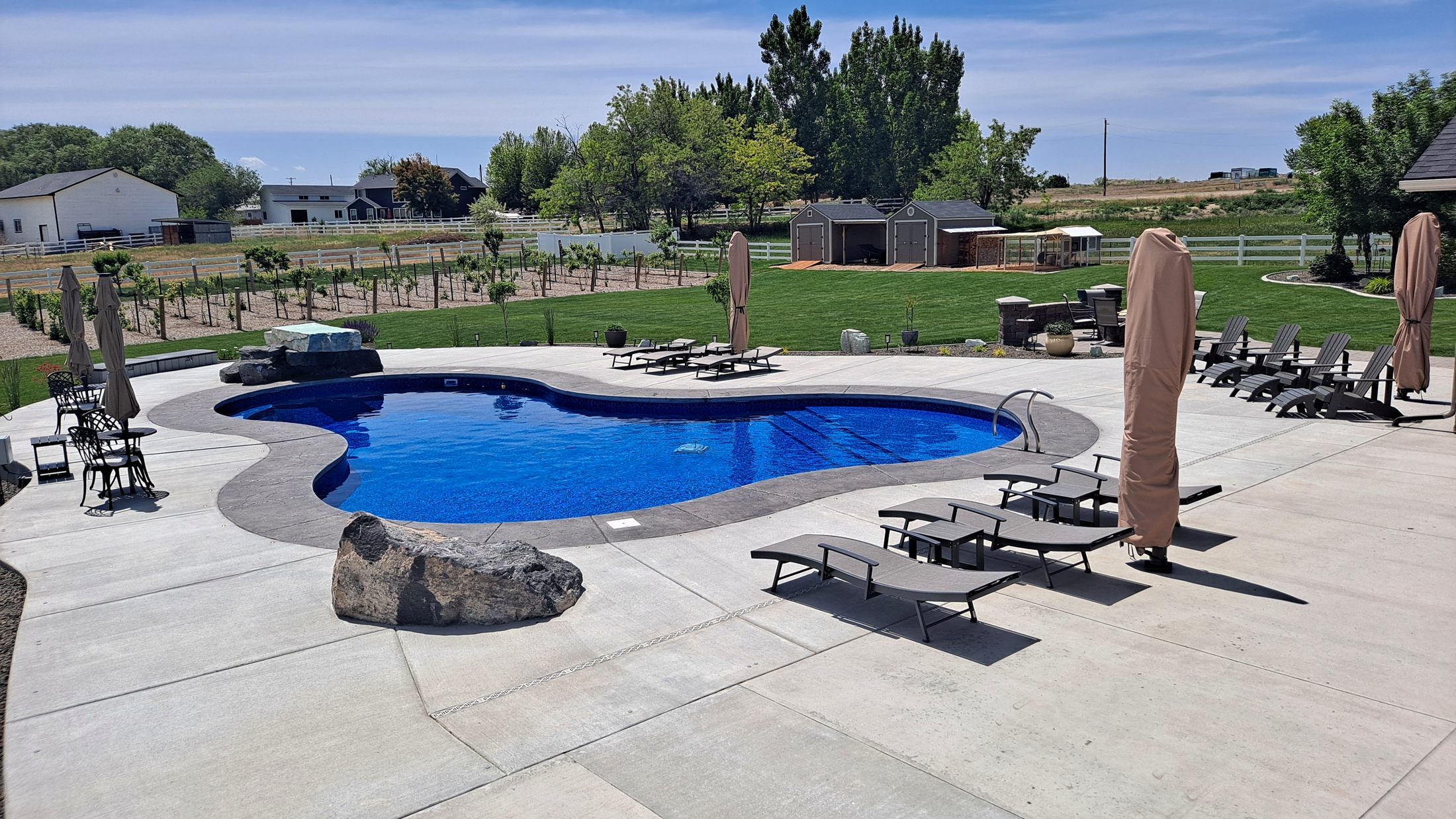 Freeform swimming pool and landscaped backyard