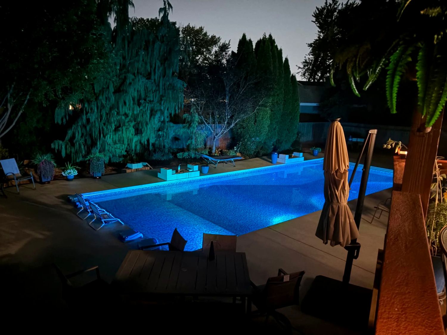 Illuminated pool surrounded by mature landscaping